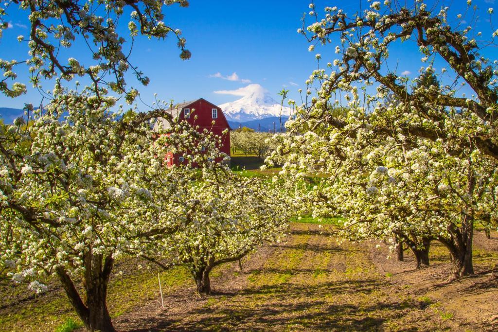 Columbia Cliff Villas Hood River Esterno foto